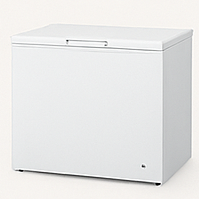 Fridge or Large freezer